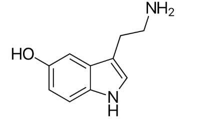 五羟色胺一般情况下,人们能够调节好情绪.